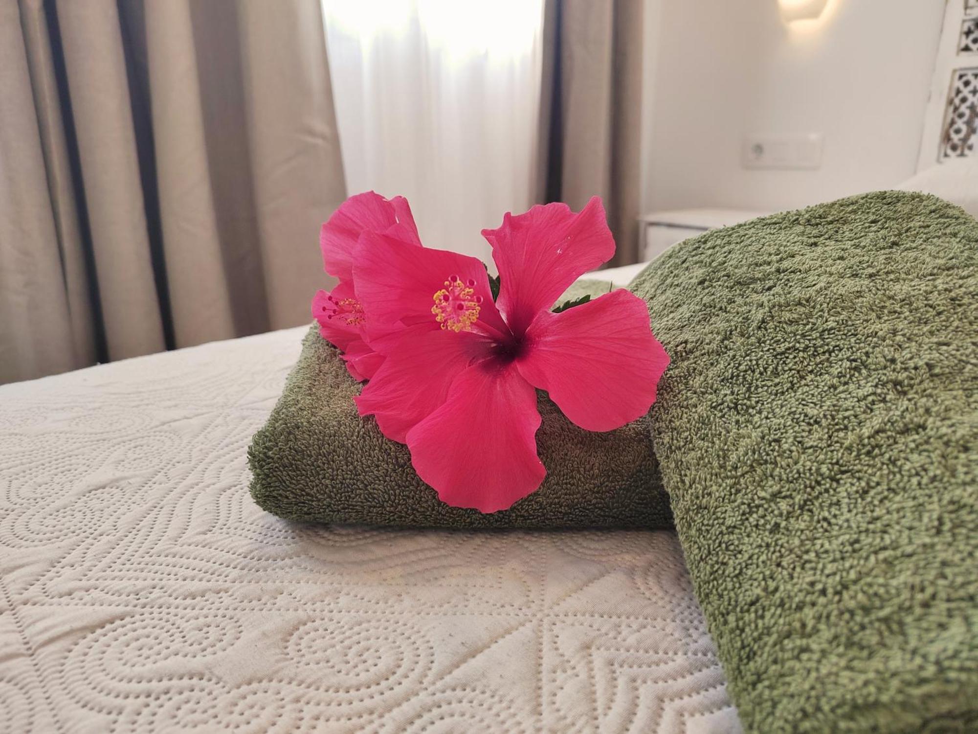 Tamarindo 27 Pool Front Next To The Dunes, Free Wifi Corralejo Exterior foto